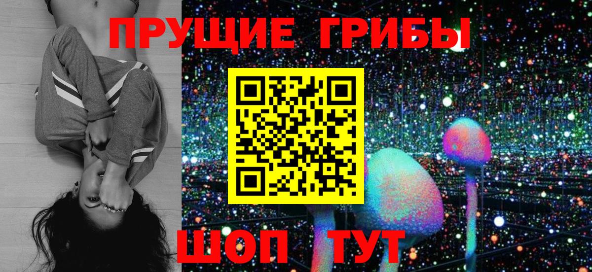 Медногорск  Галлюциногенные грибы Psilocybe  Вход с VPN 